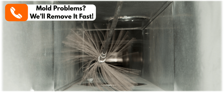 Air Duct Mold Removal in The Woodlands