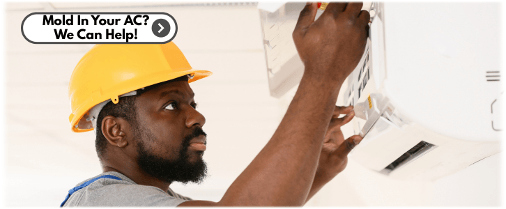 HVAC Mold Removal The Woodlands